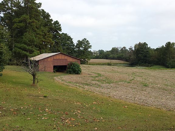 Shed view 1