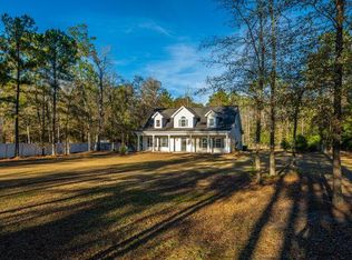 1125 Big Dam Swamp Dr, Andrews, SC 29510