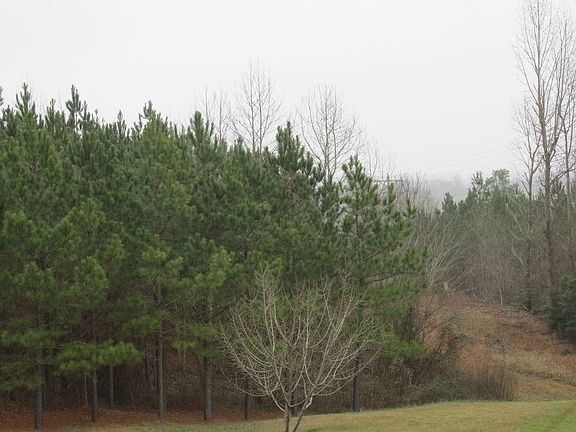 5th image of 0 Hwy 21