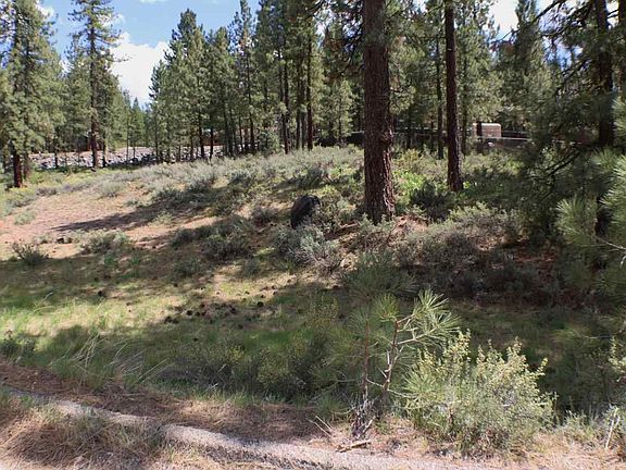 4th image of 603 Ponderosa Cir