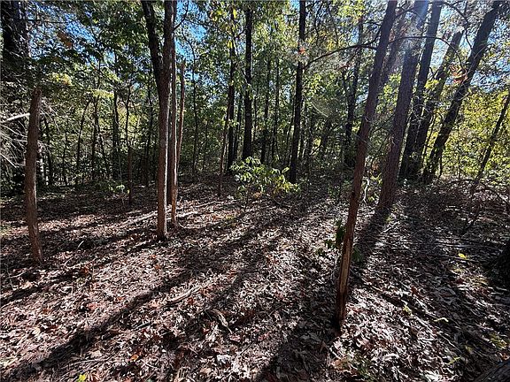 4th image of TRACT Silver Ridge Rd #C