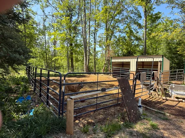 1810 Richard Rd, Comins, MI 48619