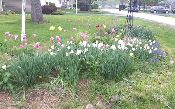4th image of 658 Pierce Ct