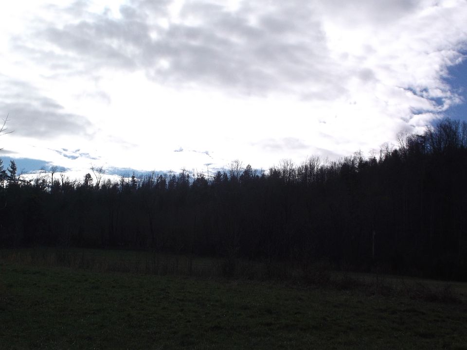 1st image of 115 Seths Way