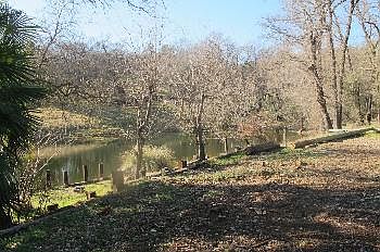 3rd image of 11995 Creek View Dr