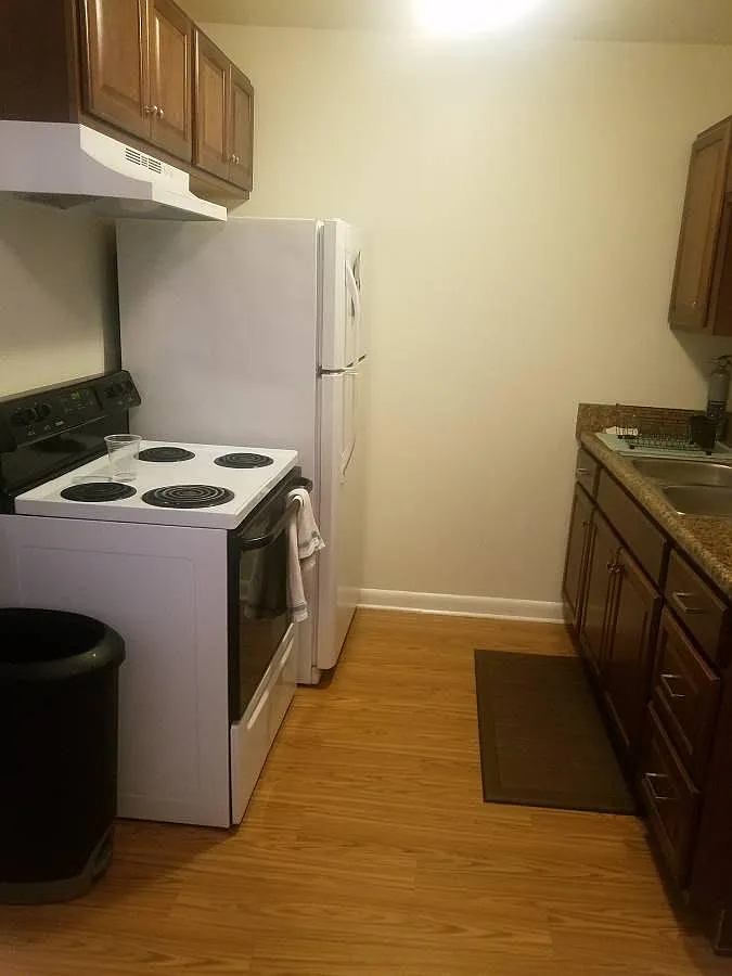 1 bed, 552 sqft, $1,250 — Photo 2