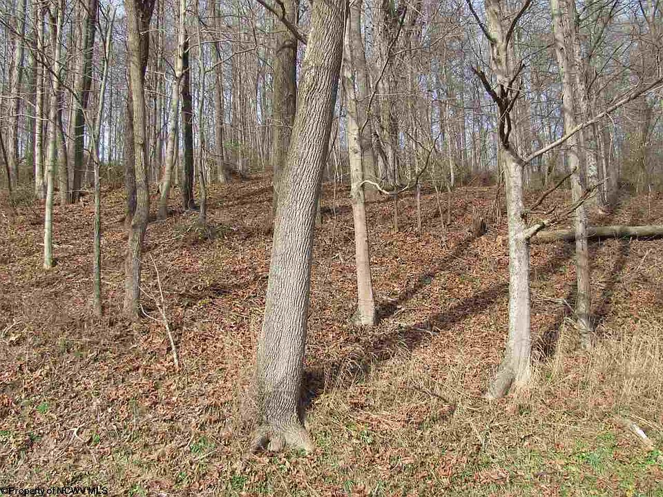 2nd image of Hackers Creek Rd