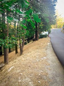 1274 Evergreen Ln LOT 43, Lake Arrowhead, CA, 92352
