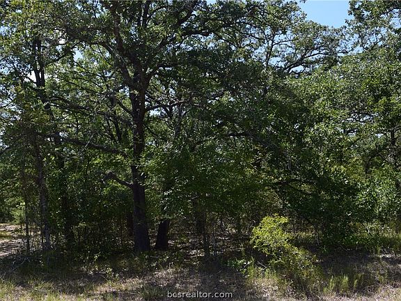 5th image of 2394 County Road 188