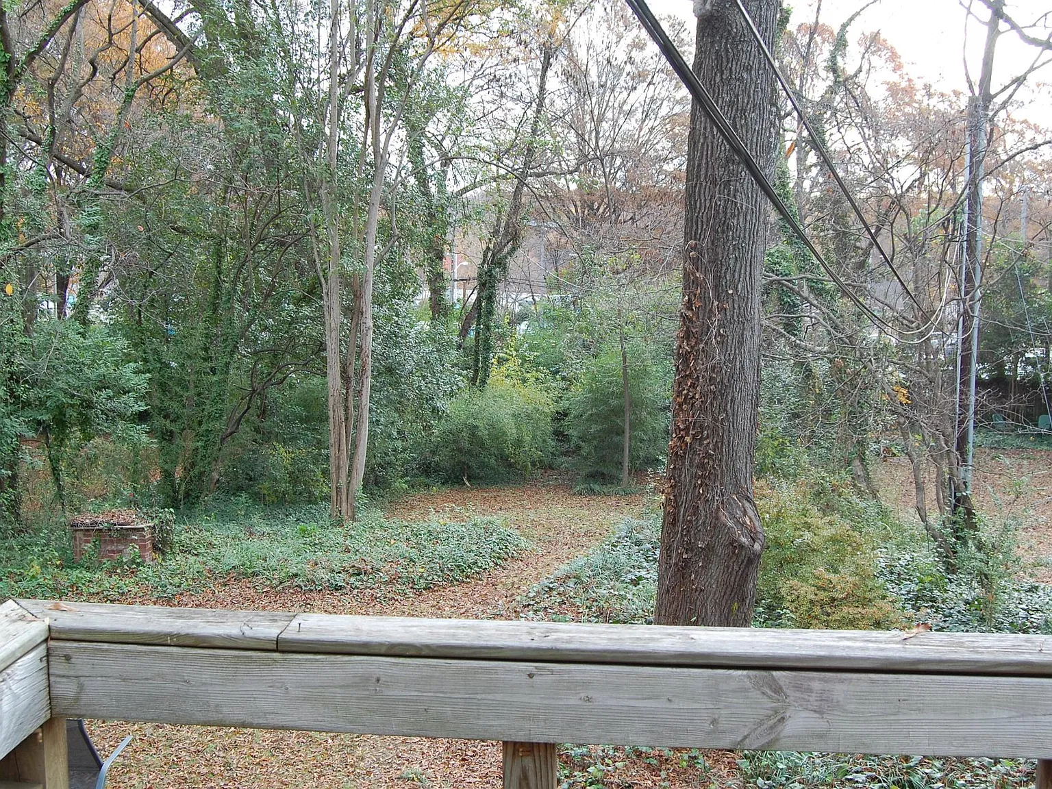 2 bed, 1250 sqft, $2,600 — Photo 4