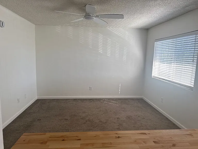 3366 Roosevelt St — Photo 4
