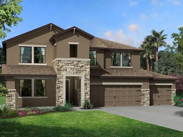 33129 Amling Pecan Br, Wesley Chapel, FL 33545