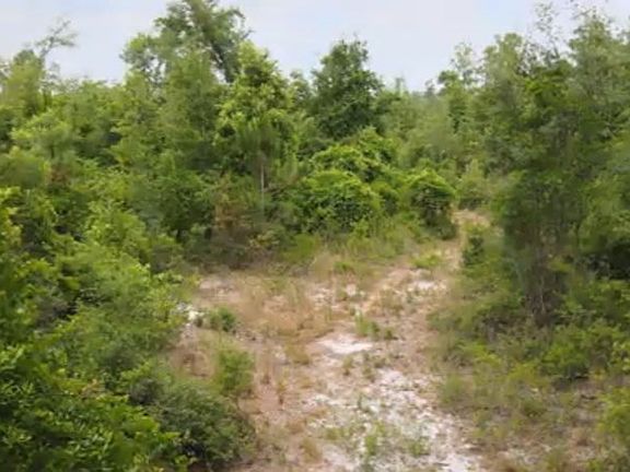 2nd image of  County Road 351