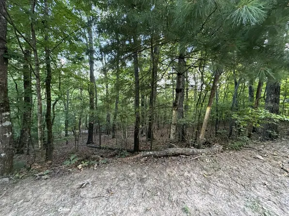 LOT 46 Fox Run Dr, Blue Ridge, GA 30513