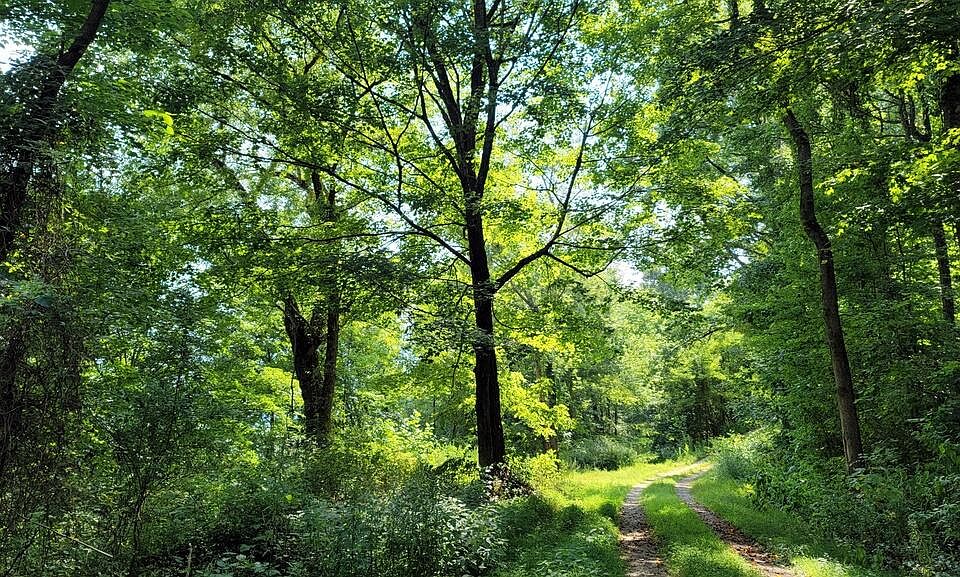 Conley Hill Rd, Gauley Bridge, WV 25085 MLS 211529 Zillow