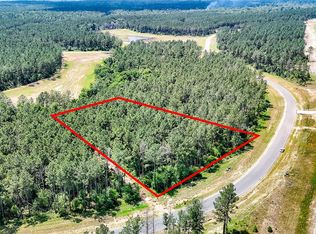 15469 Forest Grove Dr, Willis, TX 77378