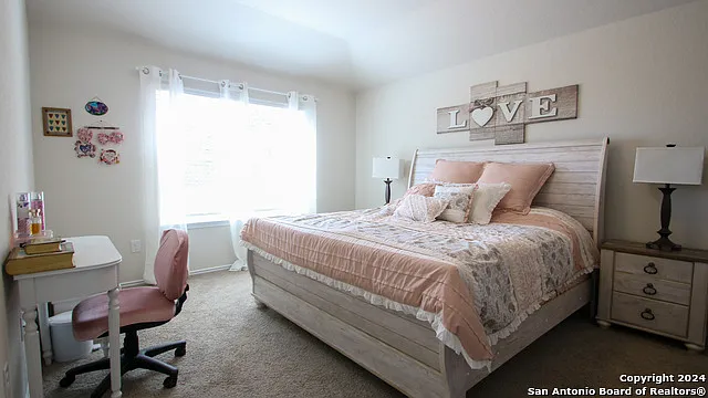 3602 Copper Willow — Photo 6