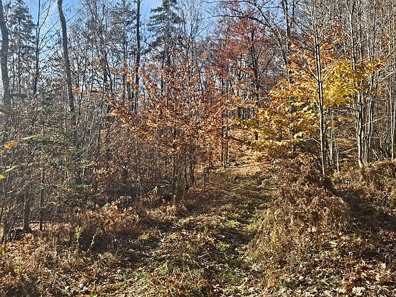 5th image of 134 Pratt Mountain Road