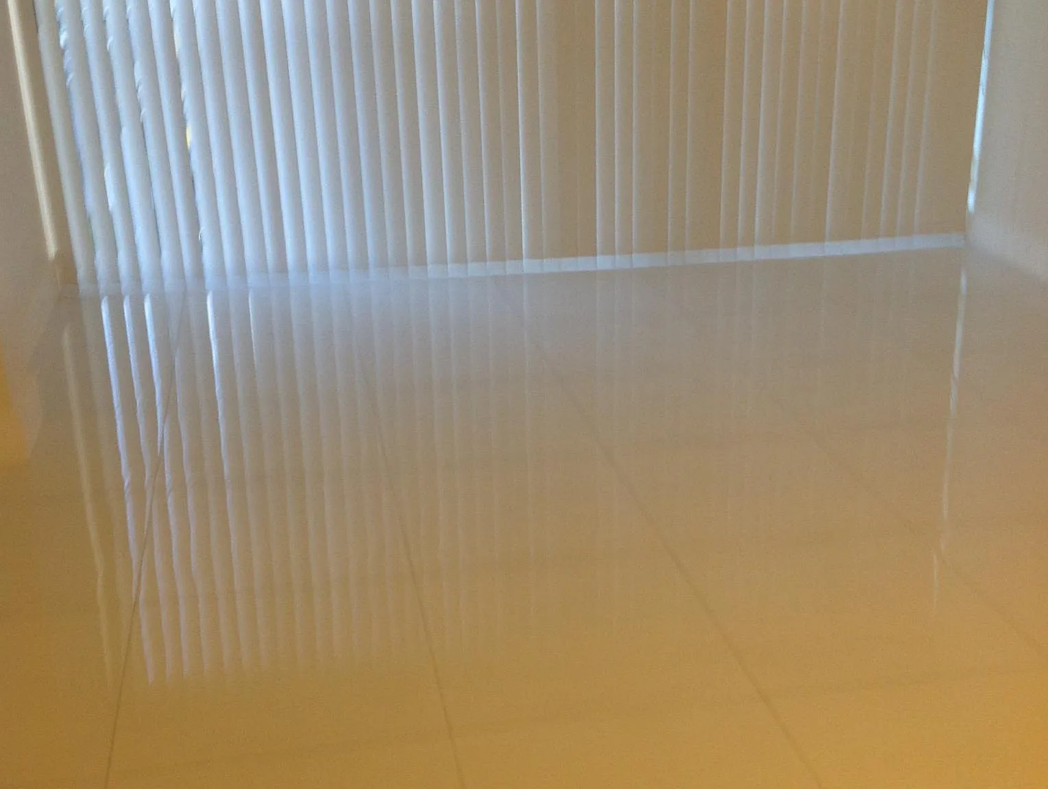 2 bed, 1100 sqft, $2,300 — Photo 2
