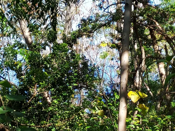 Kuahewa Lot 5-C, Holualoa, HI 96725