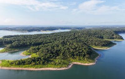 LOT 12 E Persimmon Point, Lead Hill, AR, 72644