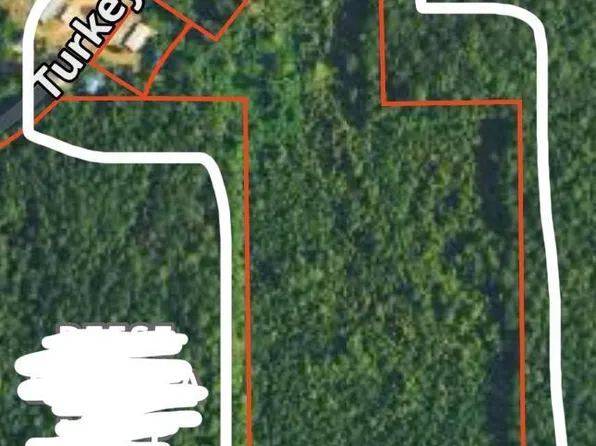 Turkey Creek Rd, Decatur, MS 39327