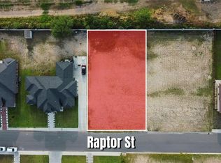 1106 Raptor St, Palmview, TX 78572