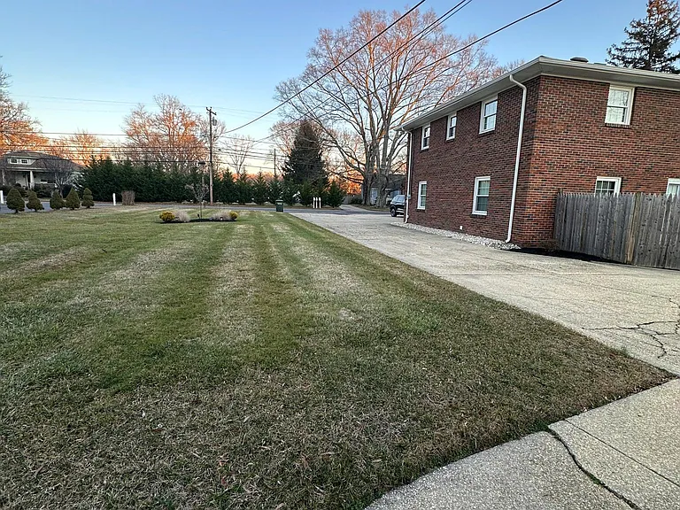 Front Yard Space