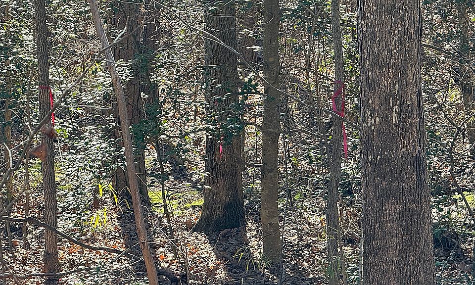 2nd image of Wilma Dr