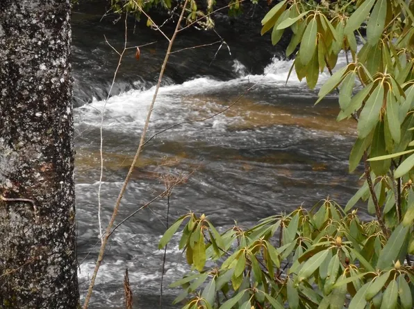 4934 Little Snowbird Rd, Robbinsville, NC 28771