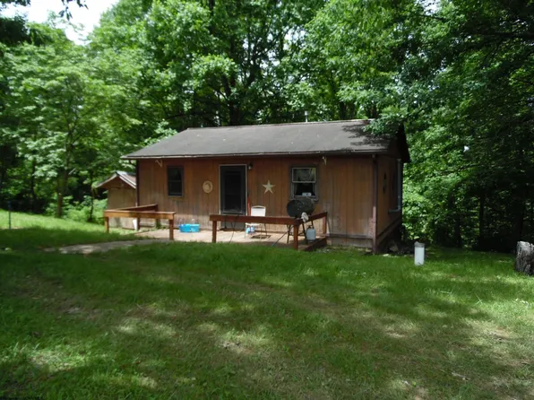2100 Bulls Run, French Creek, WV 26218