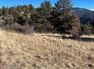 19436 James Lode Pne, Georgetown, CO 80444