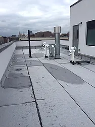 Rented by P Management