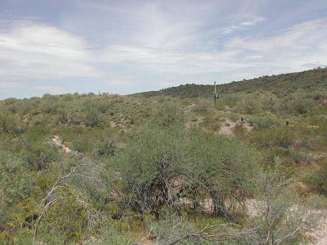 2nd image of 0 E Sandy Bluff -- #219-16-044K