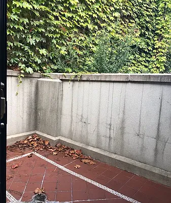 Rented by Compass | media 30