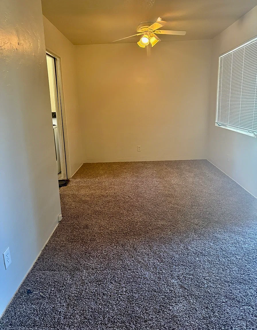 Updated Floors & Freshly Painted Walls — Photo 2