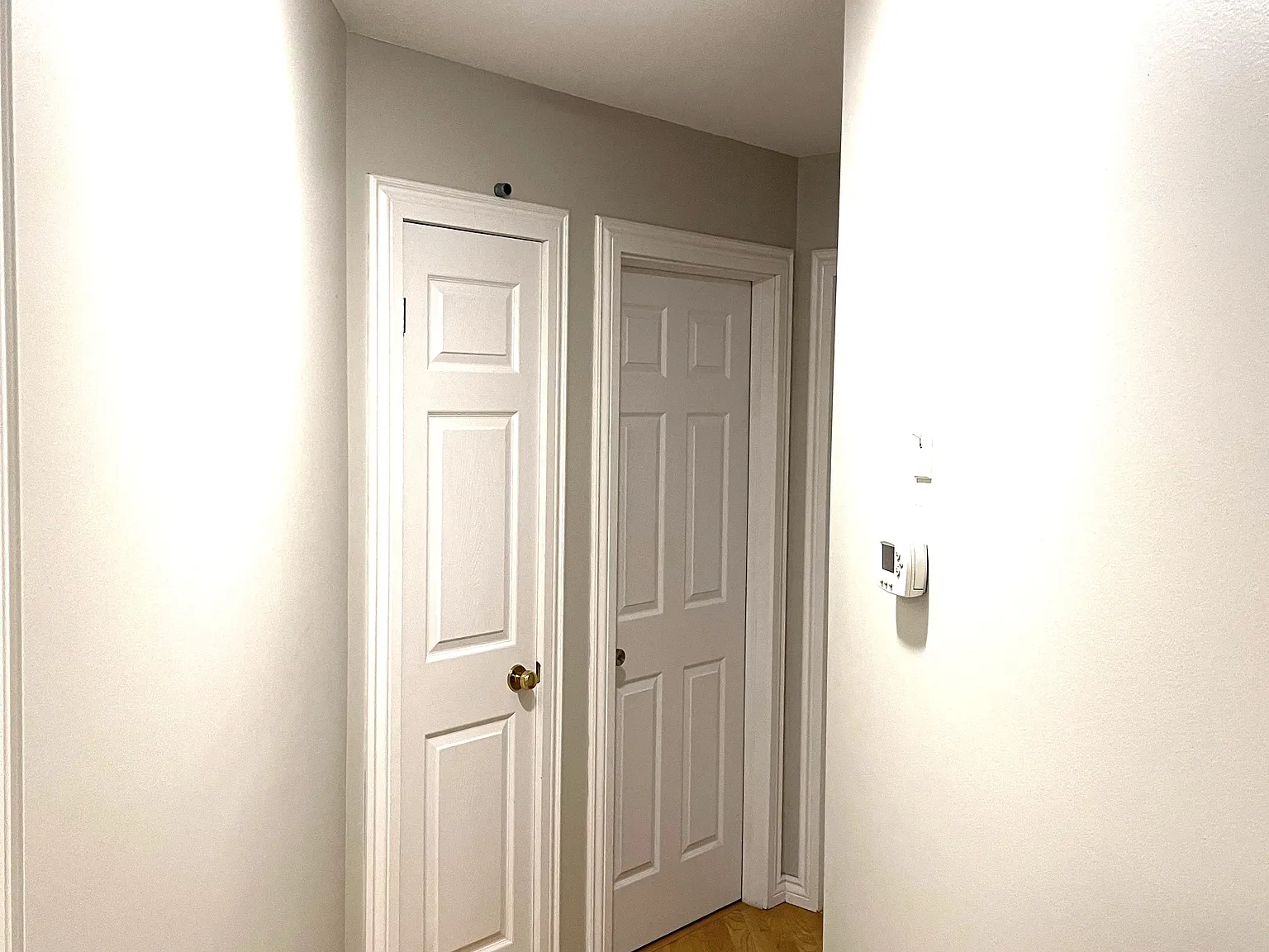 1 bed, 250 sqft, $750 — Photo 4