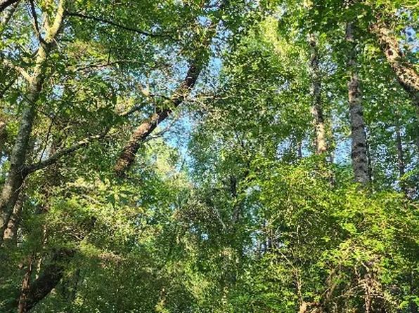 Aaron Sloan Dr, Seneca, SC 29678