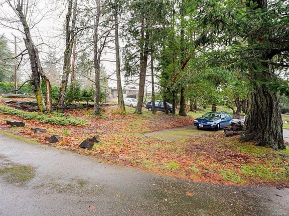 5th image of 2202 Arbutus Rd