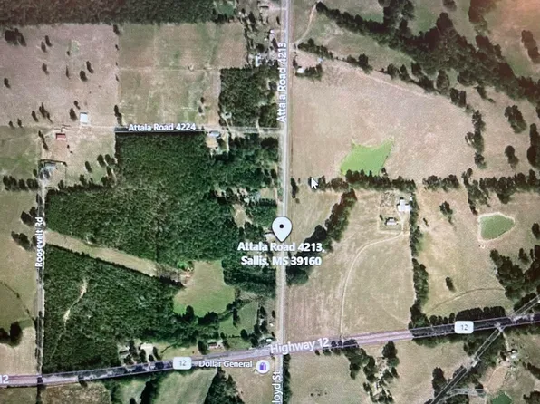 Attala Rd #4213, Sallis, MS 39160