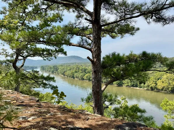 70 Mount Olive Rd, Melbourne, AR 72556