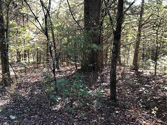 2nd image of 823 County Road 212