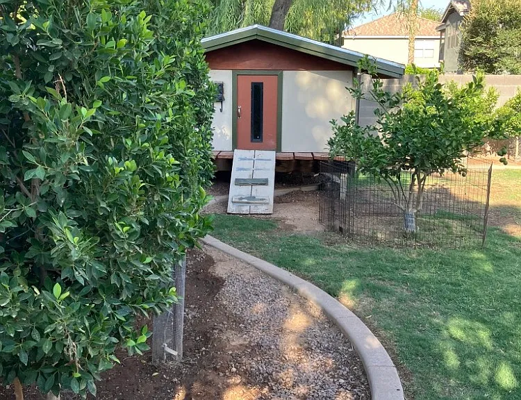 Tree House with AC