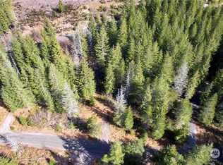 8 Lahar Ln, Cougar, WA 98616