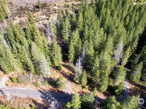 8 Lahar Lane, Cougar, WA 98616