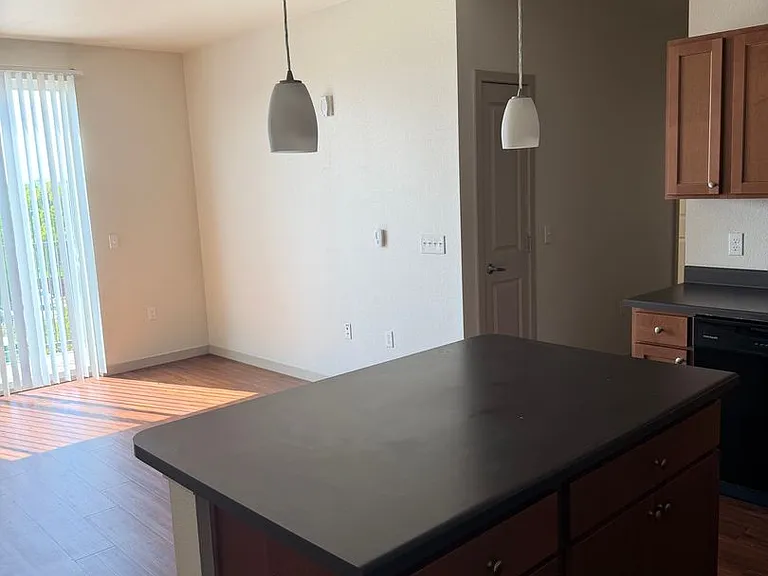 1305 N Peoria St — Photo 49