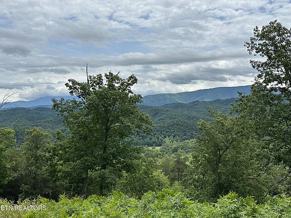 3rd image of 0 Misty Bluff Trl Lot 59