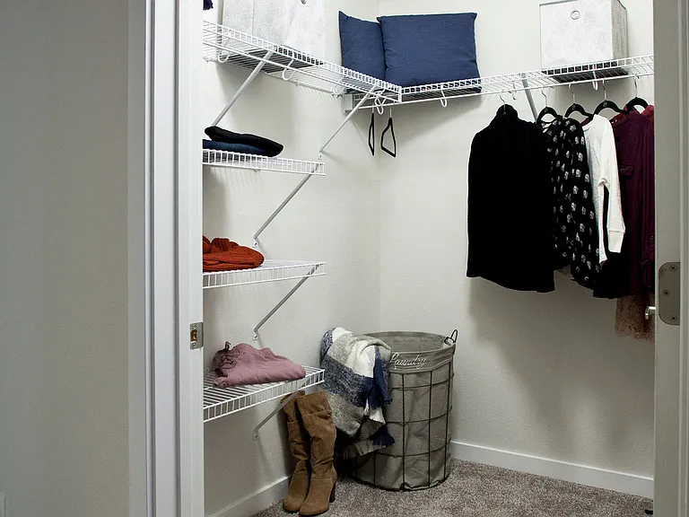 Walk-In Walk-In Closets