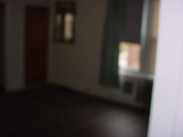 LARGE LIVING ROOM