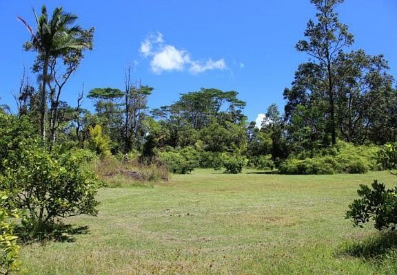 4th image of 13-1302 Leilani Ave Lot 35